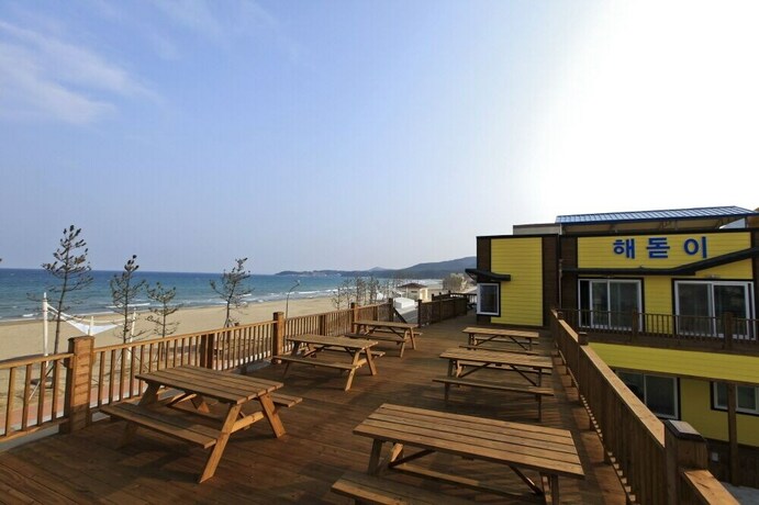 Imagen de la habitación del Hotel Pohang Sunrise. Foto 36