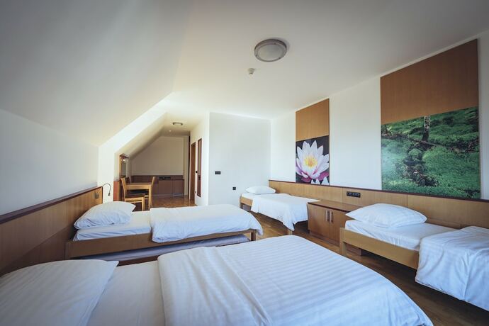 Imagen de la habitación del Hotel Pohorje Village Wellbeing Resort &ndash; Forest Videc. Foto 19