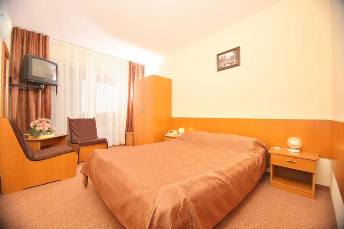 Imagen de la habitación del Hotel Poienita. Foto 8