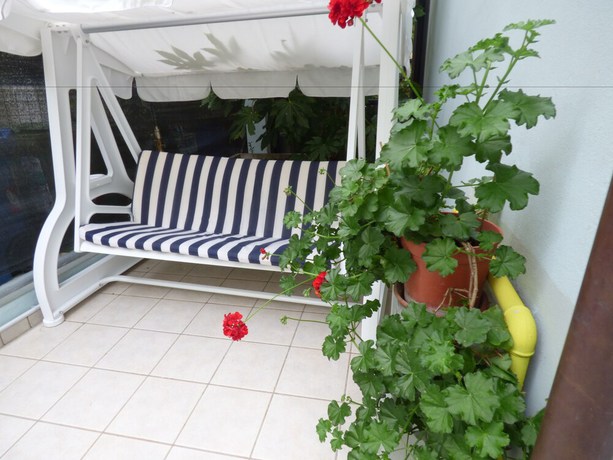 Imagen de los exteriores del Hotel Poker, Misano Adriatico. Foto 16
