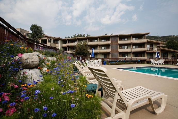 Imagen de la piscina del Hotel Pokolodi Lodge. Foto 14