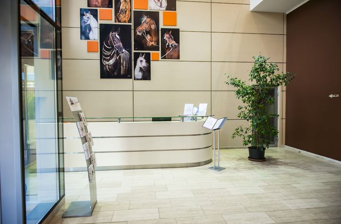 Imagen de los interiores del Hotel Pokrovskoe-Divnoe. Foto 19