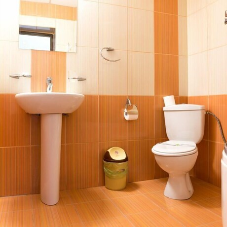Imagen de la habitación del Hotel Polaris, Suceava. Foto 7