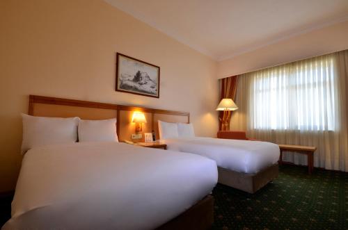 Imagen general del Hotel Polat Erzurum Resort. Foto 9