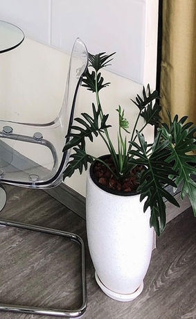 Imagen de los interiores del Hotel Polkadot CafeandHotel. Foto 9