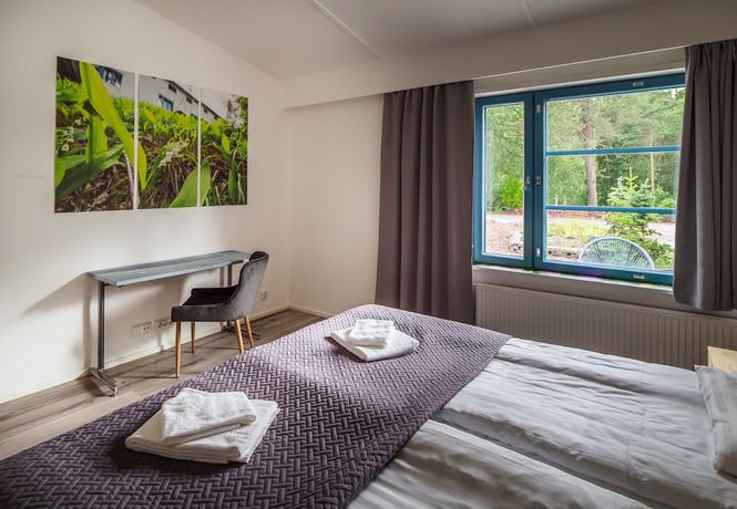 Imagen de la habitación del Hotel Polkuli. Foto 8