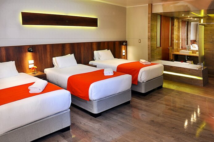 Imagen de la habitación del Hotel Polo Corporativo San Sebastian. Foto 16