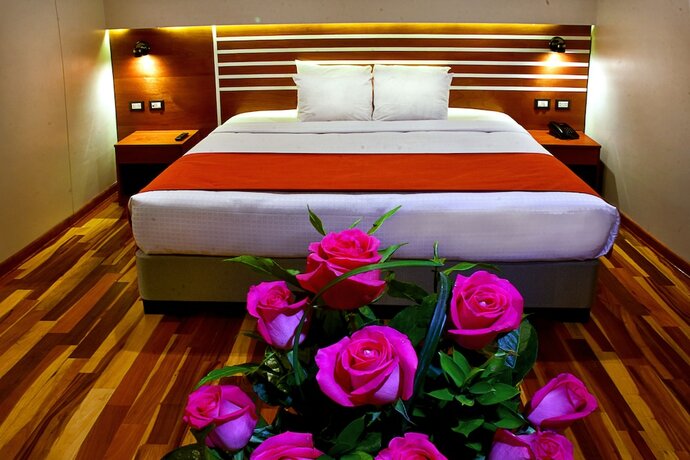 Imagen de la habitación del Hotel Polo Corporativo San Sebastian. Foto 19