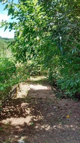 Imagen de los exteriores del Hotel Polo Fazenda. Foto 11