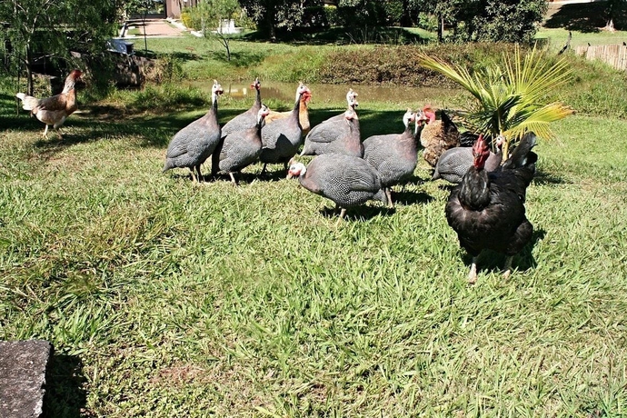 Imagen de los exteriores del Hotel Polo Fazenda. Foto 12