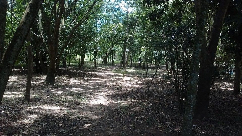 Imagen de los exteriores del Hotel Polo Fazenda. Foto 13