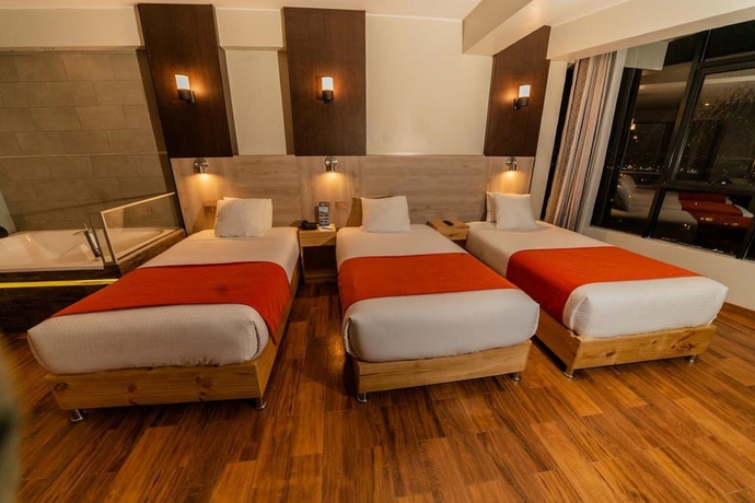 Imagen de la habitación del Hotel Polo Santa Monica. Foto 12