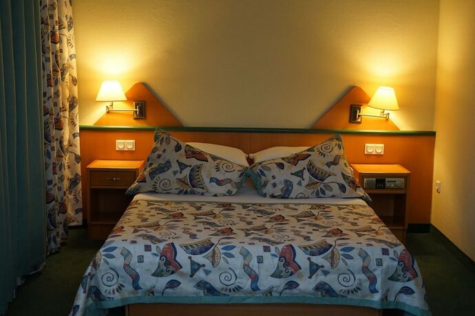 Imagen de la habitación del Hotel Polonia Racib&oacute;rz. Foto 15
