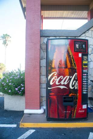 Imagen general del Hotel Polynesian Inn. Foto 6