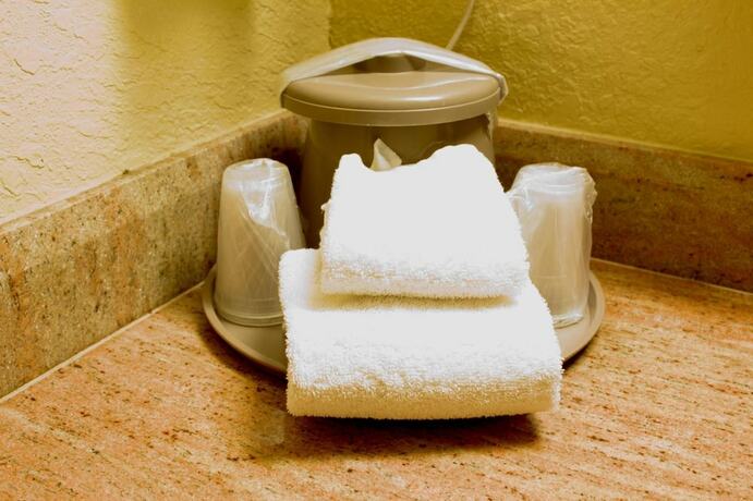 Imagen general del Hotel Polynesian Inn. Foto 9