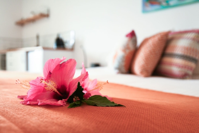 Imagen de la habitación del Hotel Polynesian Norfolk Island. Foto 6