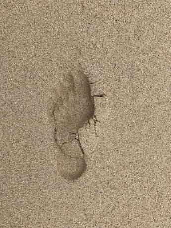 Imagen de la habitación del Hotel Polynesian Residences Waikiki Beach. Foto 8