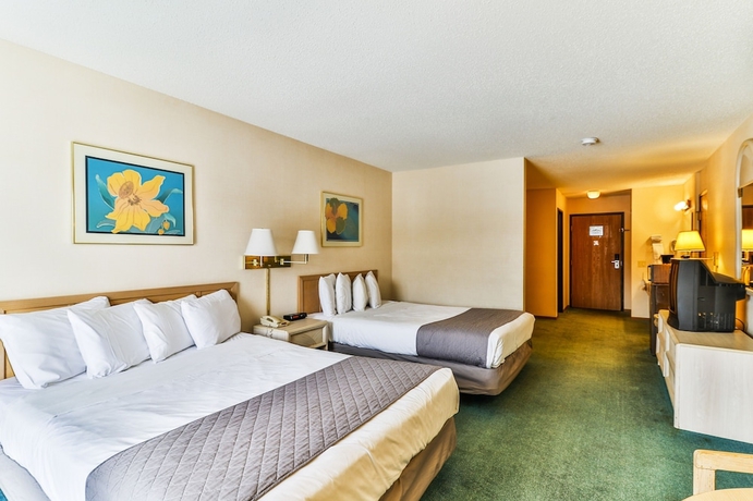 Imagen de la habitación del Hotel Polynesian and Suites Wisconsin Dells/lake Delton. Foto 15