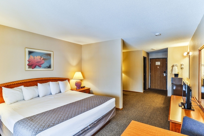 Imagen de la habitación del Hotel Polynesian and Suites Wisconsin Dells/lake Delton. Foto 17