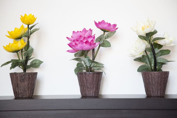 Imagen de la habitación del Hotel Poma. Foto 6