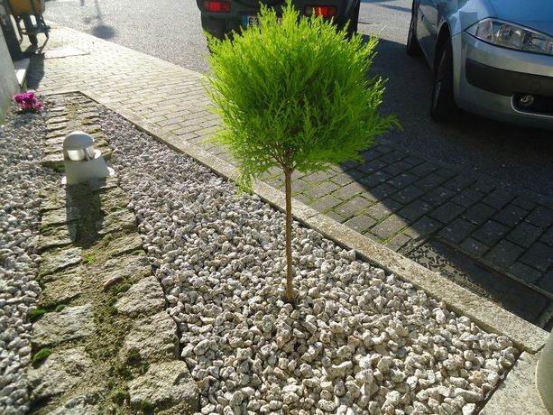 Imagen de los exteriores del Hotel Pombeira. Foto 14