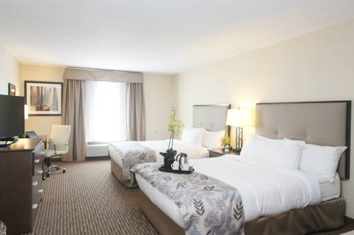 Imagen de la habitación del Hotel Pomeroy Inn and Suites At Olds. Foto 3