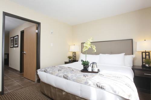 Imagen de la habitación del Hotel Pomeroy Inn and Suites At Olds. Foto 9
