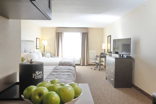 Imagen de la habitación del Hotel Pomeroy Inn and Suites At Olds. Foto 13