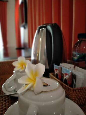 Imagen general del Hotel Pondok Massas Ubud. Foto 11