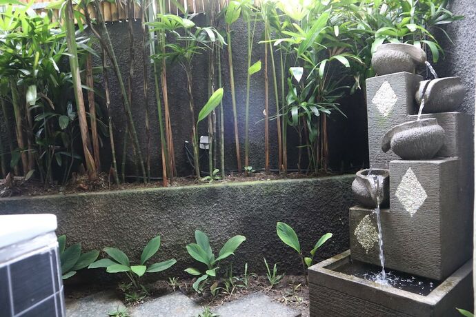 Imagen de la habitación del Hotel Pondok Massas Ubud. Foto 18
