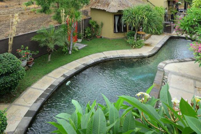 Imagen de la piscina del Hotel Pondok Mimpi Tulamben. Foto 18
