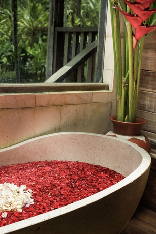 Imagen de la habitación del Hotel Pondok Sebatu Villa. Foto 13