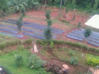 Imagen general del Hotel Pong Yang Farms And Resort. Foto 15