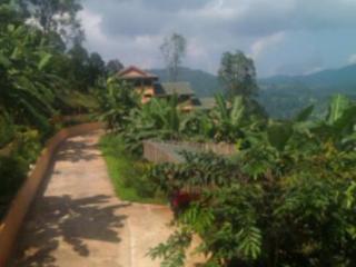 Imagen general del Hotel Pong Yang Farms And Resort. Foto 18
