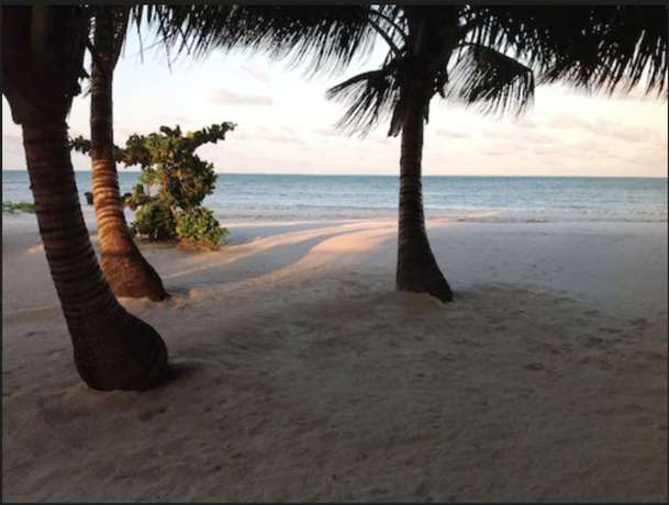 Imagen general del Hotel Pongwe Bay Resort. Foto 1