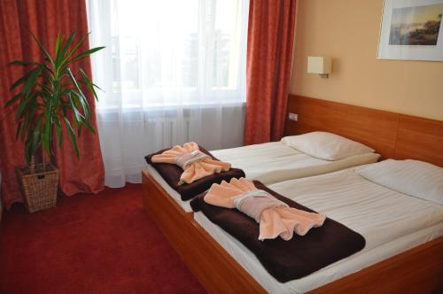 Imagen de la habitación del Hotel Płonia. Foto 9