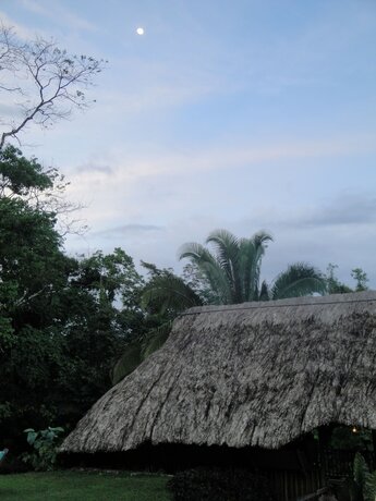Imagen general del Hotel Pook\'s Hill Lodge. Foto 3
