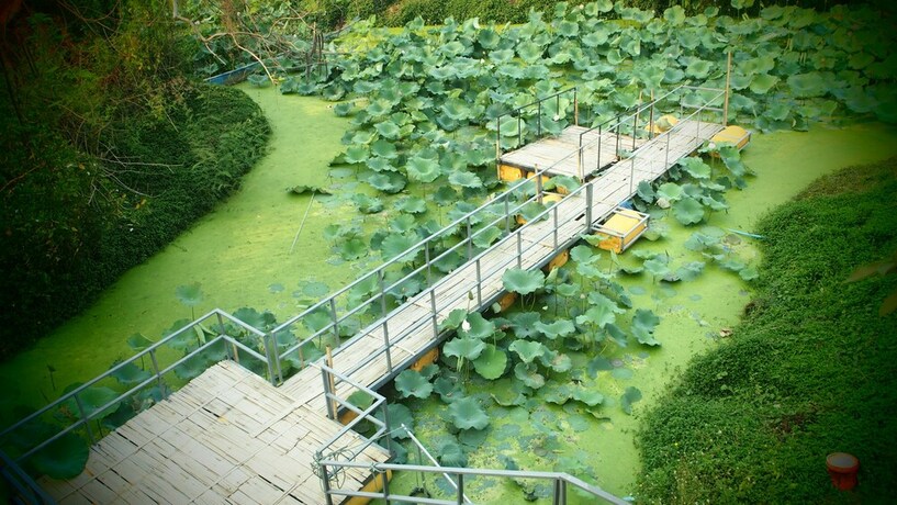 Imagen general del Hotel Poolvilla Chiangmai. Foto 13