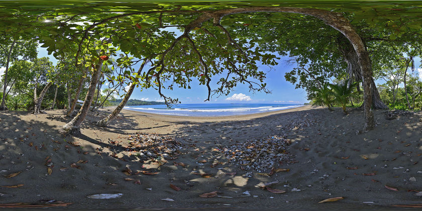 Imagen del bar/restaurante del Hotel Poor Man's Paradise. Foto 7