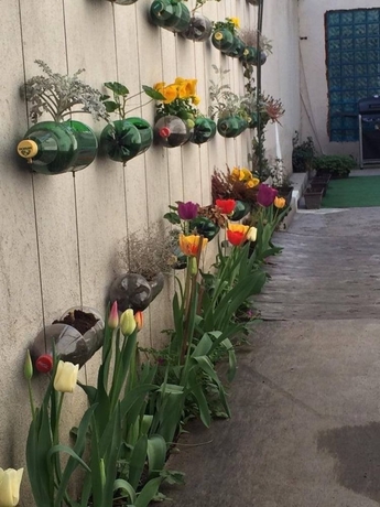 Imagen de los exteriores del Hotel Pop Bogomil. Foto 8