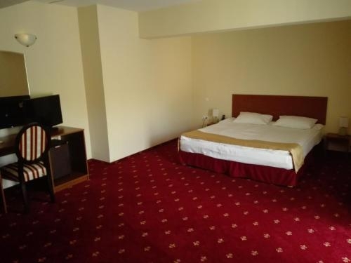 Imagen general del Hotel Popasul Romanilor. Foto 3