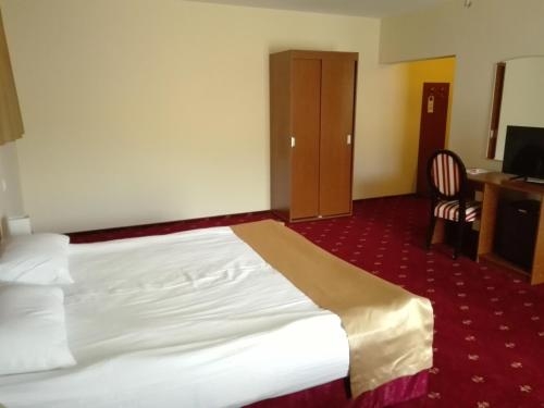 Imagen general del Hotel Popasul Romanilor. Foto 4