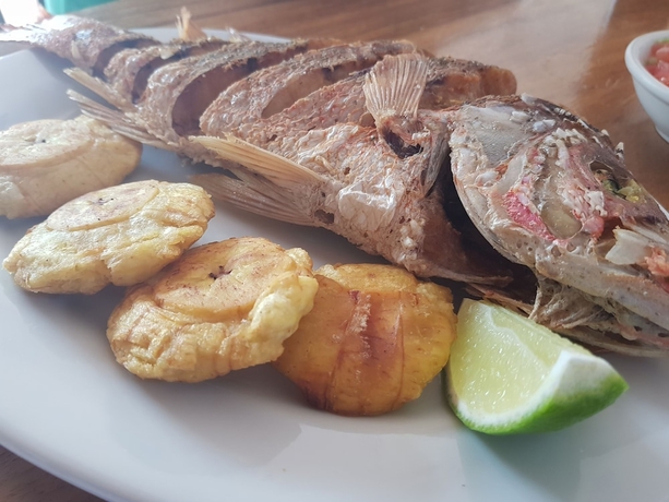 Imagen del bar/restaurante del Hotel Popoyo. Foto 3