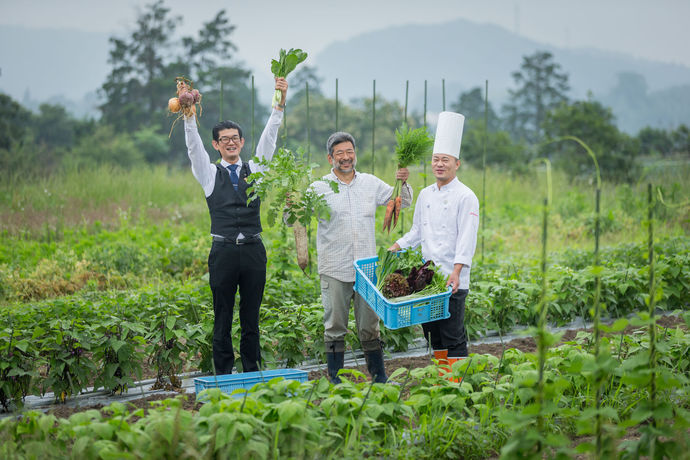 Imagen de la piscina del Hotel Poppy Springs Resort And Spa. Foto 15