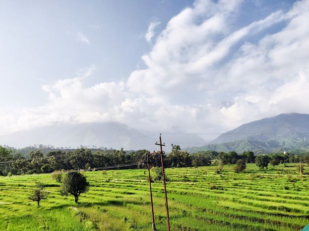 Imagen de los exteriores del Hotel Pops and Restaurant. Foto 16