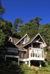 Imagen de la piscina del Hotel Poring Hot Springs and Nature Reserve. Foto 12