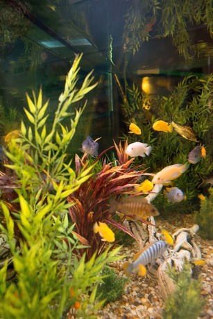 Imagen de los interiores del Hotel Port Hotel. Foto 18