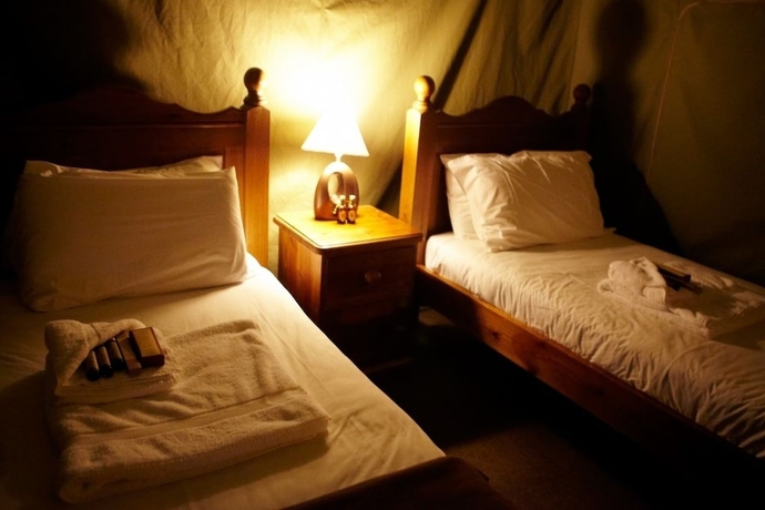 Imagen de la habitación del Hotel Port Lympne Reserve - Livingstone Lodge. Foto 6