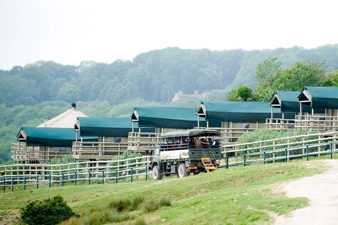 Imagen general del Hotel Port Lympne Reserve - Livingstone Lodge. Foto 1