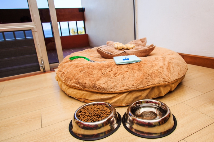 Imagen de los interiores del Hotel Porta Del Lago. Foto 16